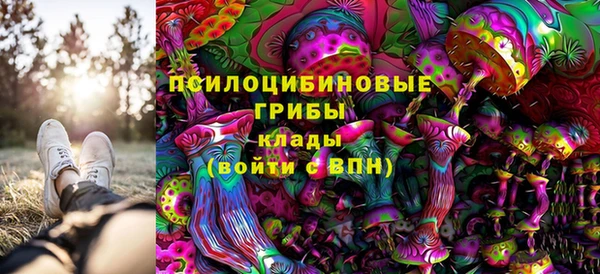 а пвп мука Белокуриха