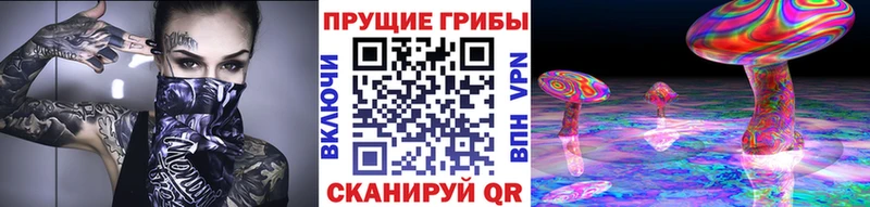 МЕГА зеркало  цены   Яхрома  Галлюциногенные грибы MAGIC MUSHROOMS 